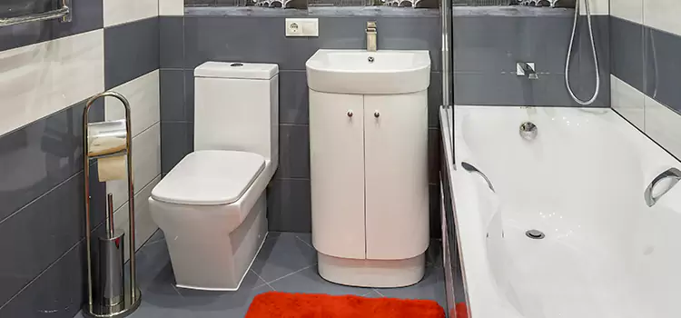 Hansgrohe Shaving Mirror Gatineau